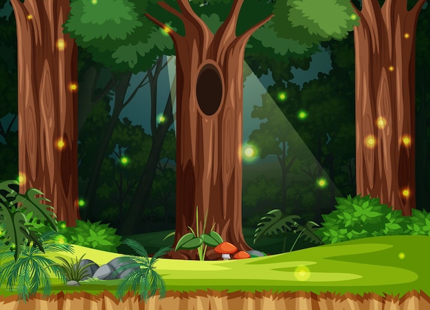Imágenes de Bosque Encantado - Descarga gratuita en Freepik Imágenes de Bosque Encantado - Descarga gratuita en Freepik
