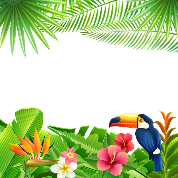 Fondo de paisaje tropical