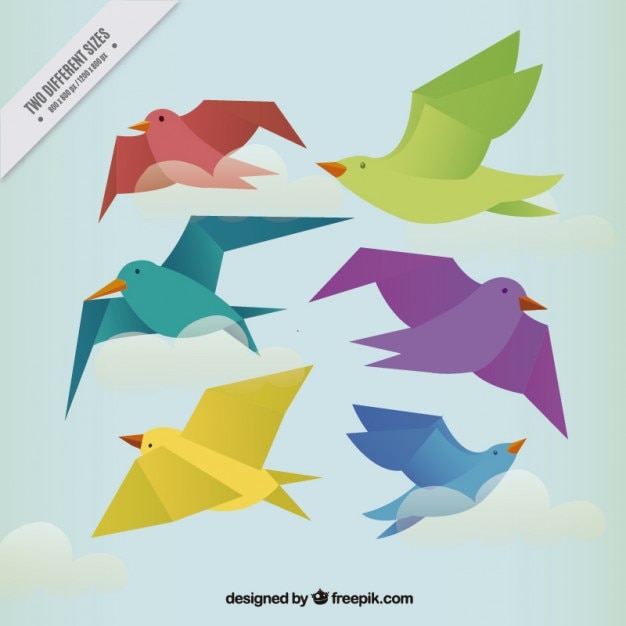 Fondo de pájaros de colores en diseño plano