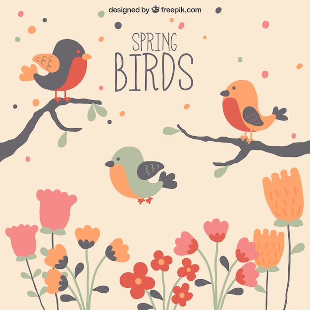 Vector gratuito fondo de pájaros de primavera