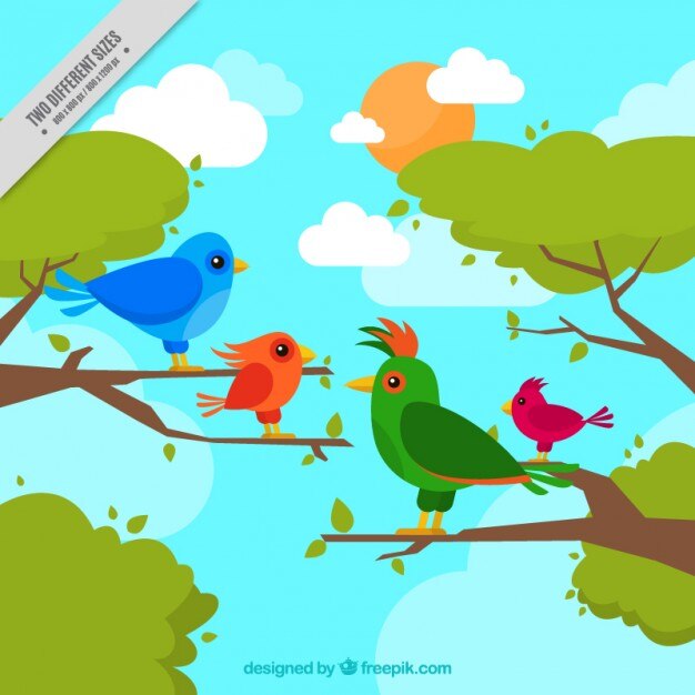 Fondo de pájaros tropicales dibujados a mano