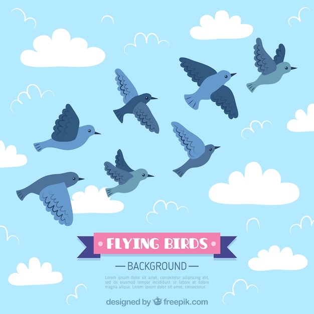 Fondo de pájaros en vuelo plano
