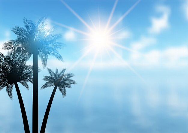 Fondo de palmera de verano