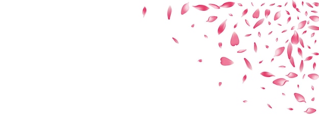 Fondo panorámico transparente del vector del pétalo de rosa. diseño de pétalos de melocotón de piso pastel. enhorabuena de vuelo de pétalo de loto. plantilla de pétalos de flores de belleza.