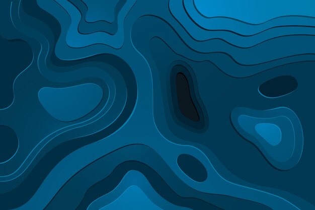 Fondo de pantalla del mapa topográfico