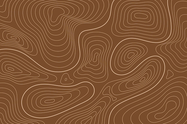 Fondo de pantalla del mapa topográfico