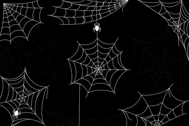 Fondo de pantalla de telaraña de Halloween