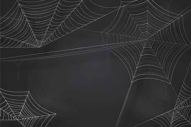 Fondo de pantalla de telaraña de Halloween