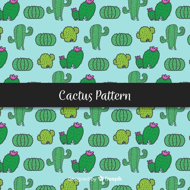 Fondo patrón cactus dibujado a mano