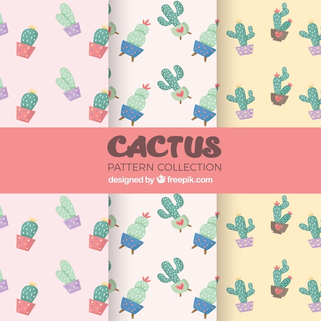 Fondo con patrón de cactus