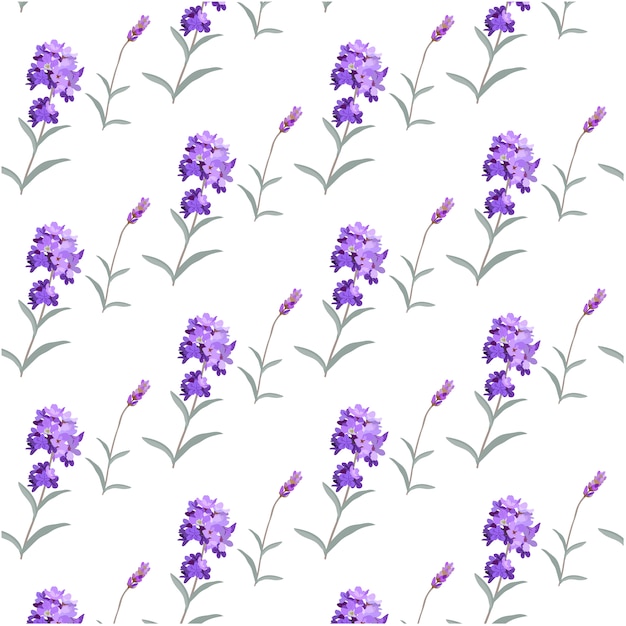 Vector gratuito fondo con patrón de lavanda