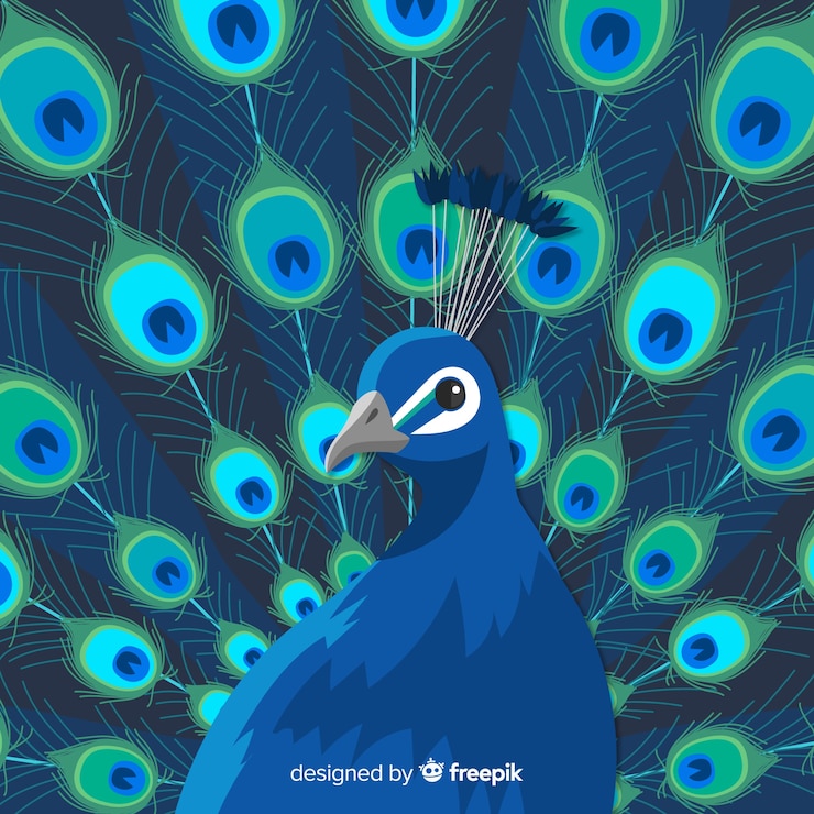 Vector gratuito fondo de pavo real