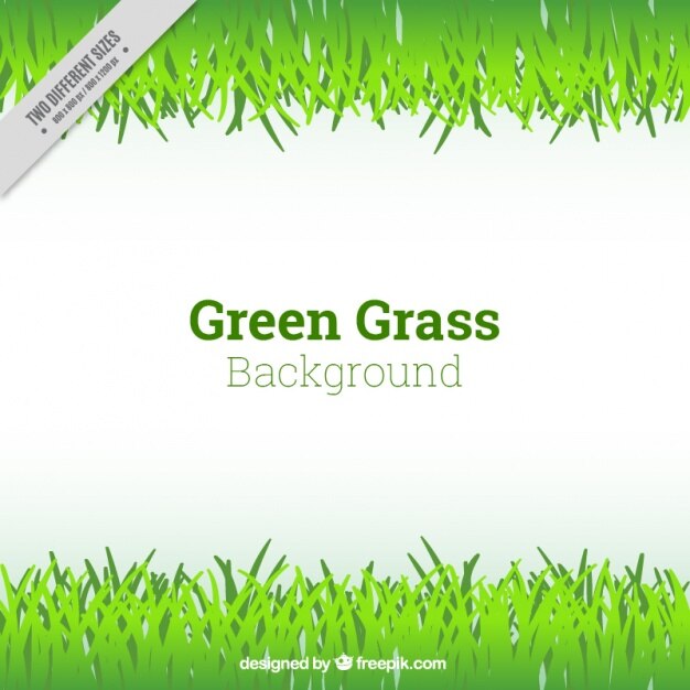 Fondo plano de césped verde