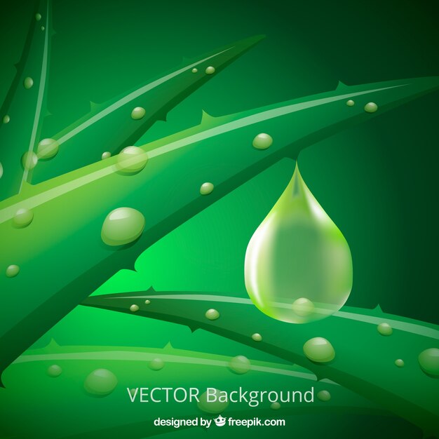 Vector gratuito fondo de planta de aloe vera con gotas