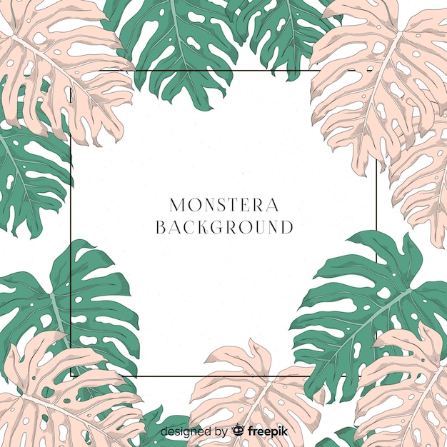 Fondo con planta monstera