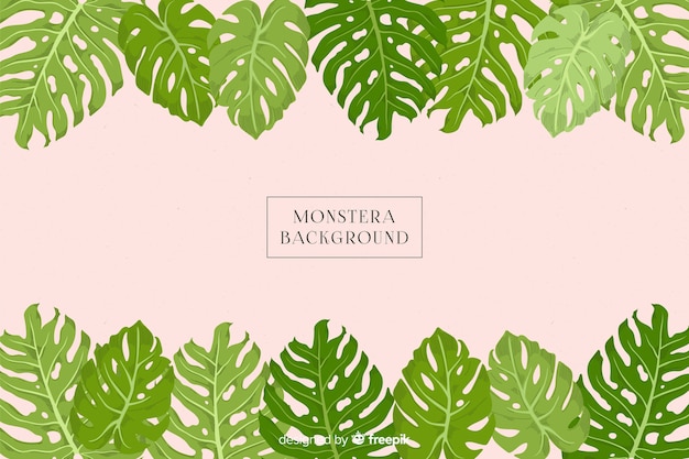 Fondo con planta monstera