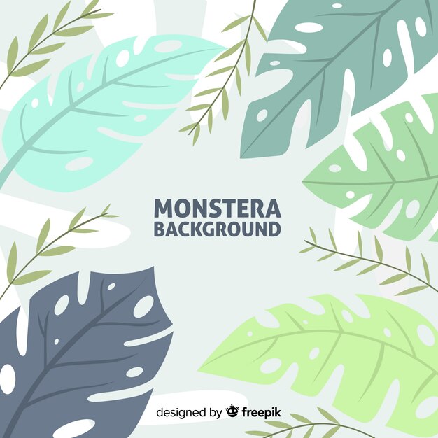Fondo con planta monstera