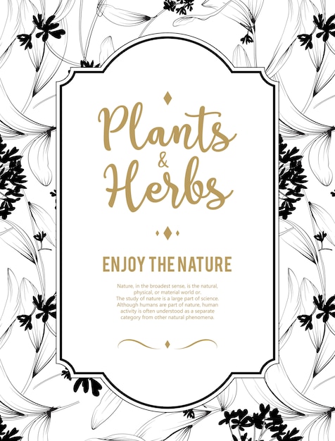 Fondo de plantas y hierbas. Elemento para diseño o tarjeta de invitación.