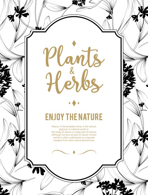 Fondo de plantas y hierbas. Elemento para diseño o tarjeta de invitación.