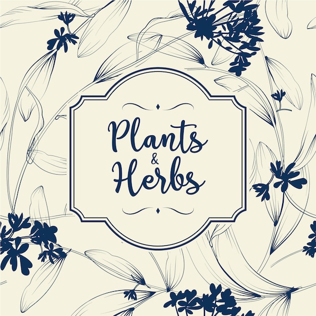 Fondo de plantas y hierbas. Elemento para diseño o tarjeta de invitación.