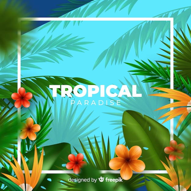 Fondo plantas tropicales realistas