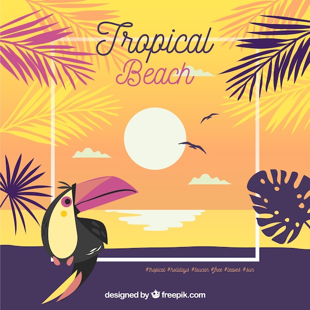 Vector gratuito fondo de playa tropical