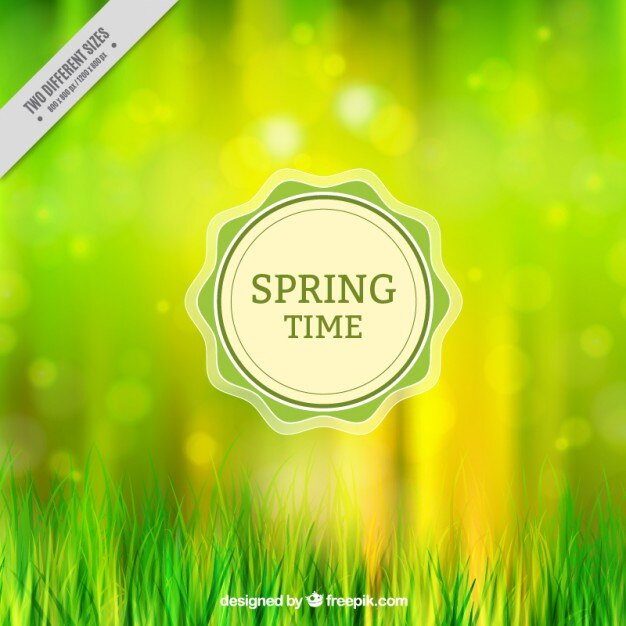 Fondo de primavera con césped verde