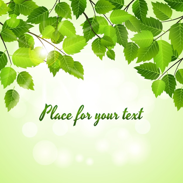 Fondo de primavera con hojas verdes vectoriales dispuestas como un borde superior sobre un brillante bokeh de luz solar con copyspace para el texto
