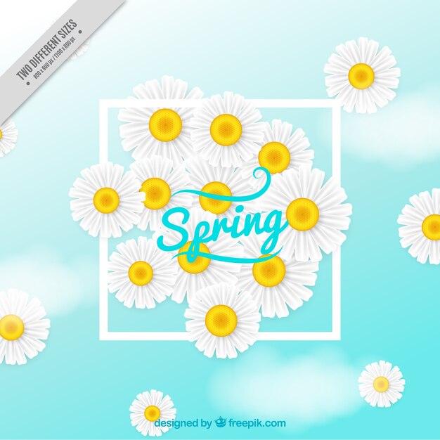 Fondo de primavera con margaritas realistas
