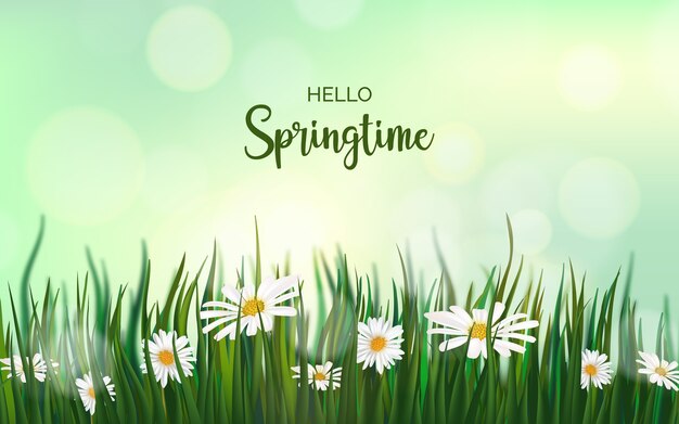 Fondo de primavera realista