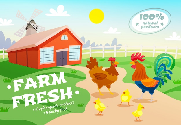 Fondo de publicidad de la granja de pollos