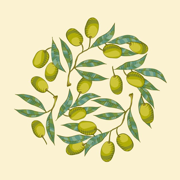 Fondo con rama de olivo y aceituna verde.