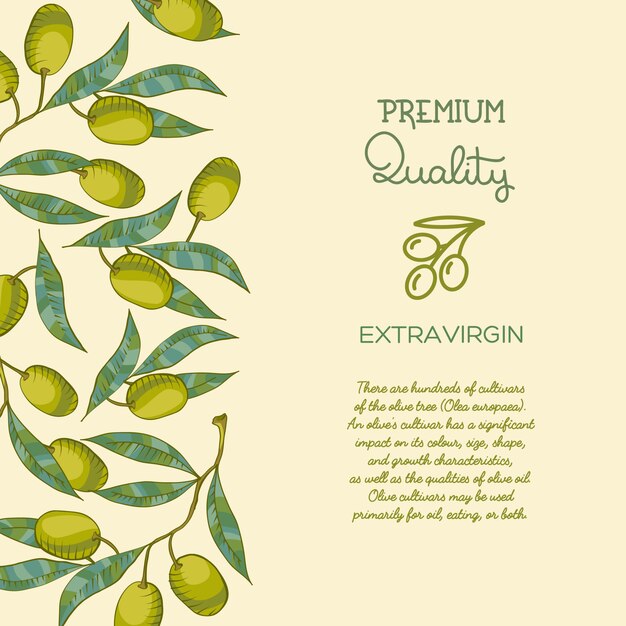 Fondo con rama de olivo y aceituna verde.