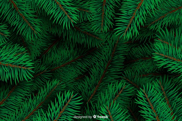 Fondo de ramas de árbol de navidad realista