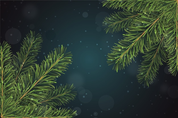 Vector gratuito fondo de ramas de árbol de navidad realista
