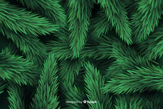 Fondo de ramas de árbol de navidad realista