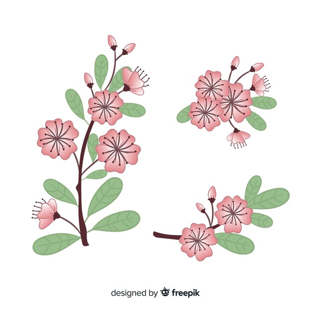 Fondo de ramas y flor de cerezo dibujado a mano