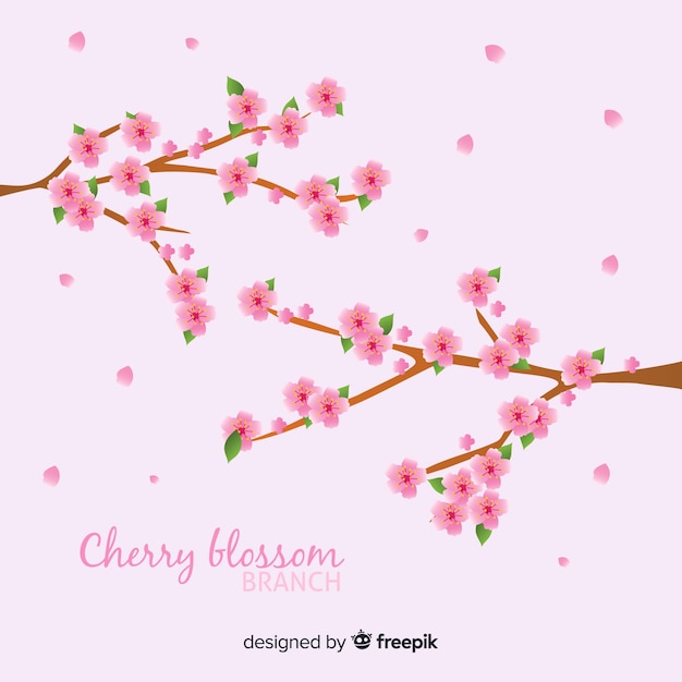 Fondo de ramas y flor de cerezo dibujado a mano