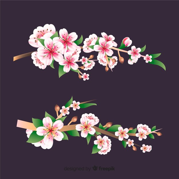 Fondo de ramas y flor de cerezo realista