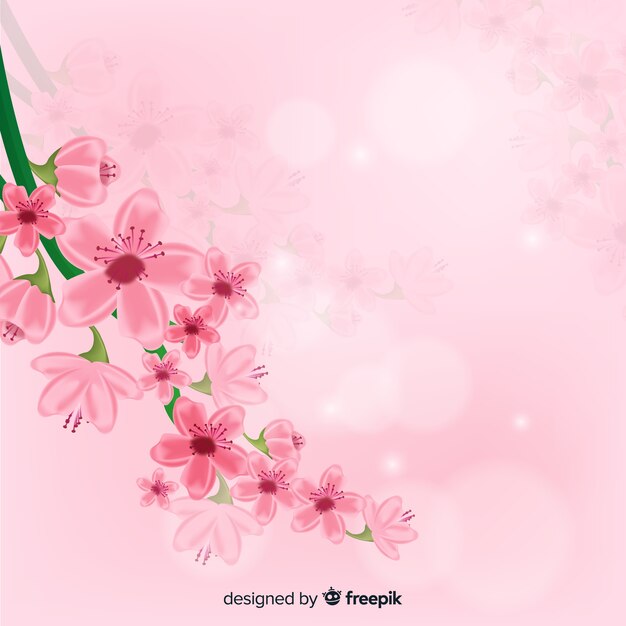 Fondo de ramas y flor de cerezo realista