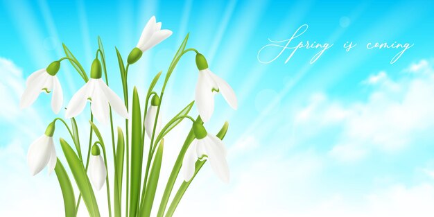 Fondo realista horizontal de flor de campanilla con ilustración de símbolos de primavera