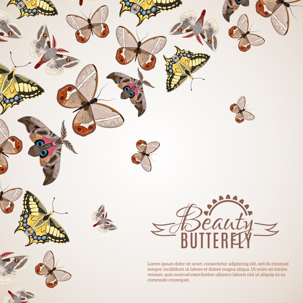 Fondo realista mariposa