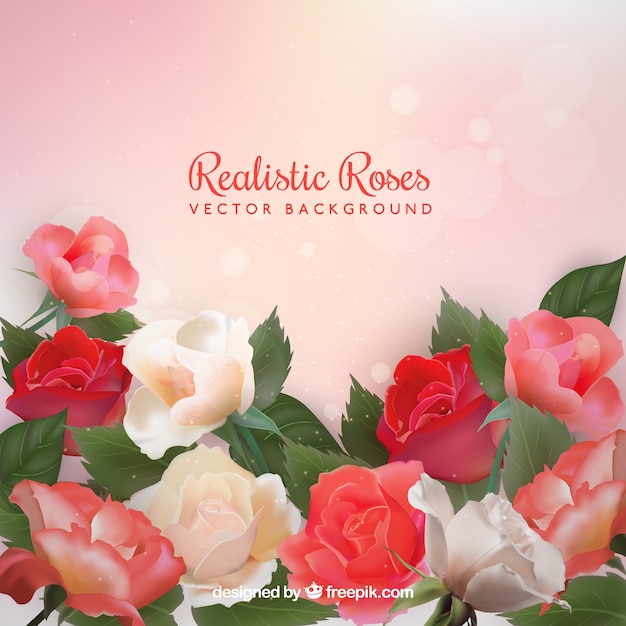 Fondo realista de rosas con efecto bokeh