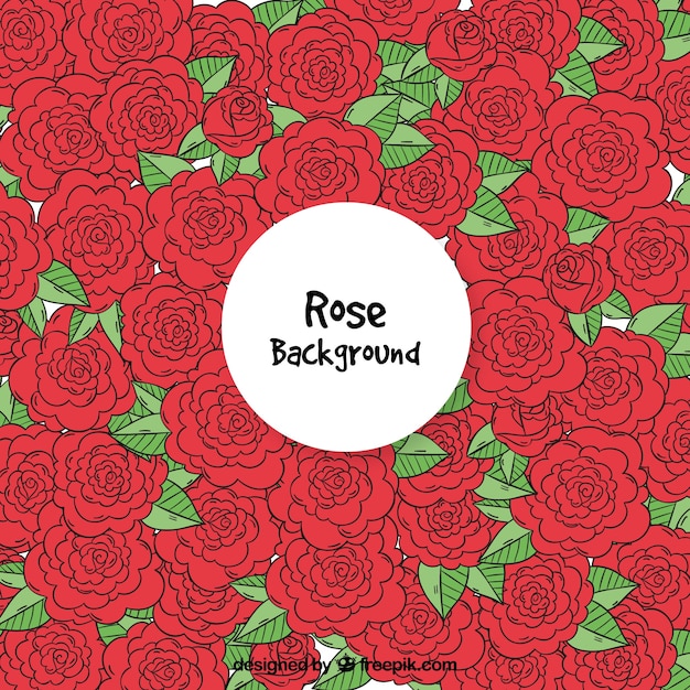 Fondo rosas dibujadas a mano
