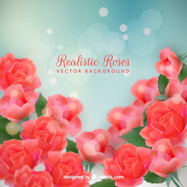 Fondo de rosas en diseño realista