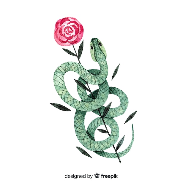 Fondo serpiente con rosa dibujada a mano