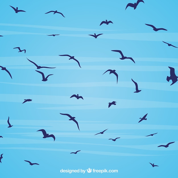 Fondo de silueta de pájaros volando