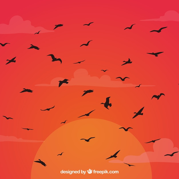 Vector gratuito fondo de silueta de pájaros volando