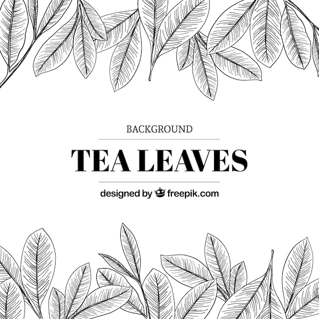 Fondo de té con hojas