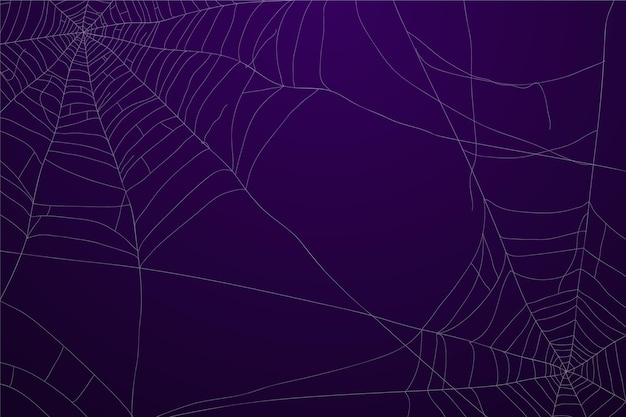 Fondo de telaraña de halloween